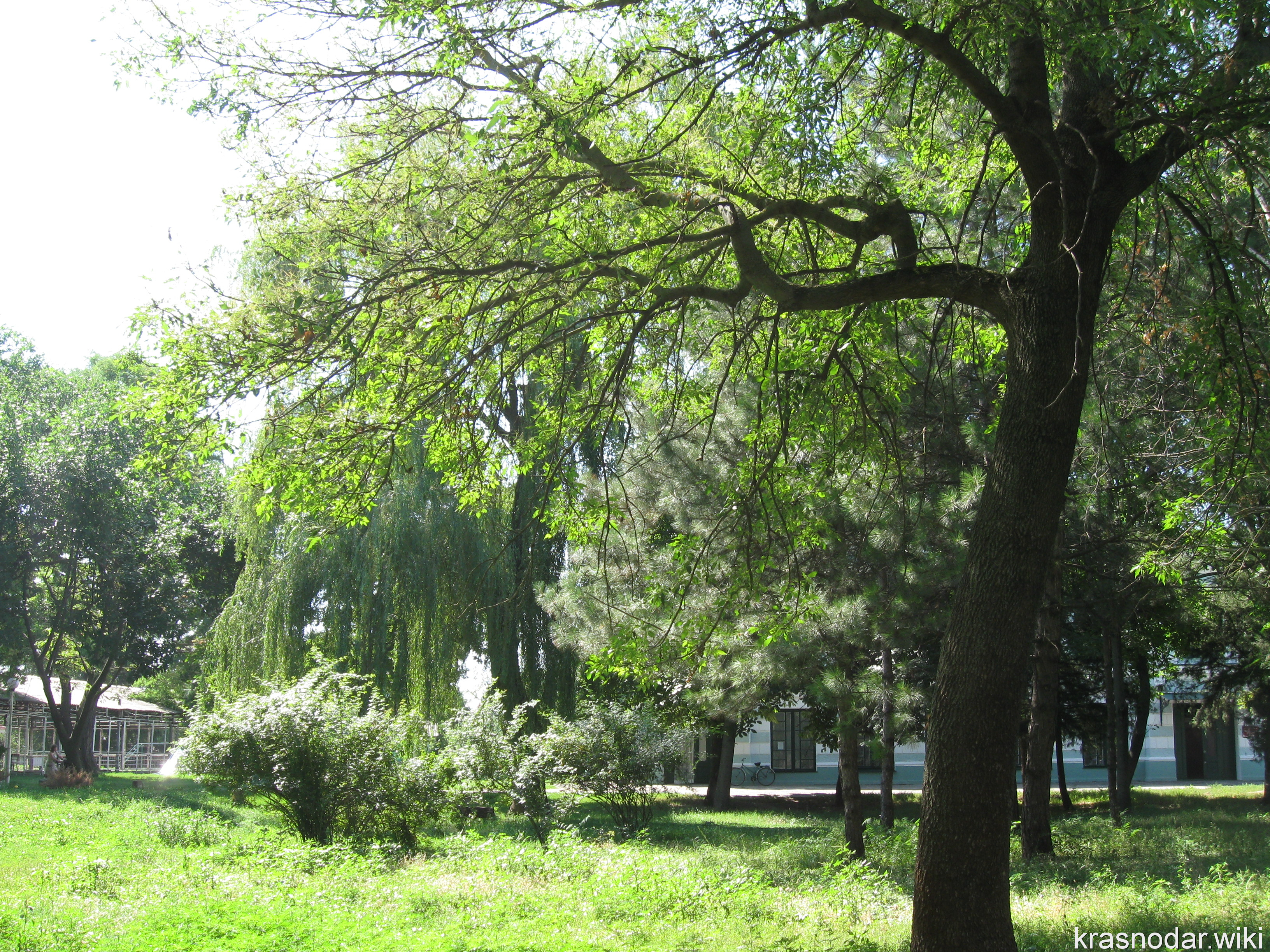 Белая глина, Парк культуры и отдыха
