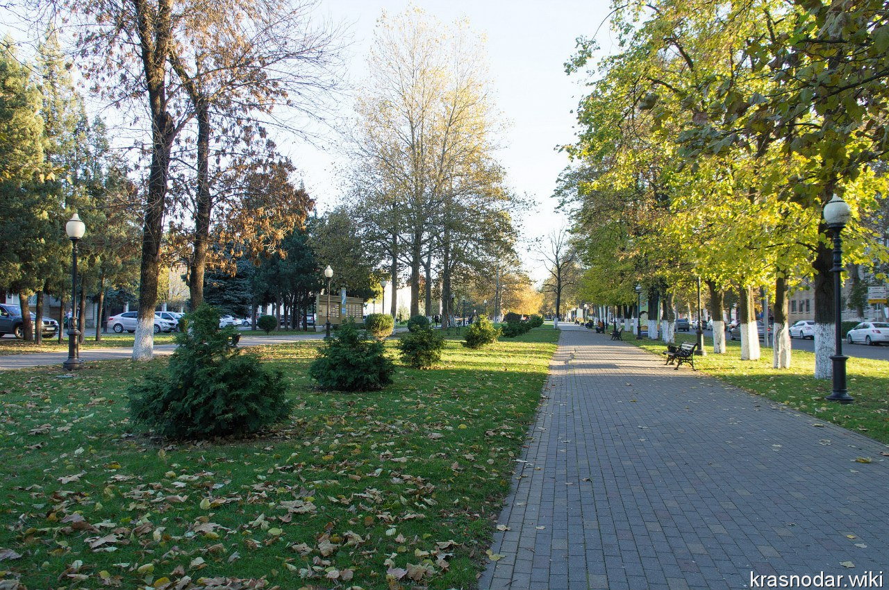 Белореченск, аллея