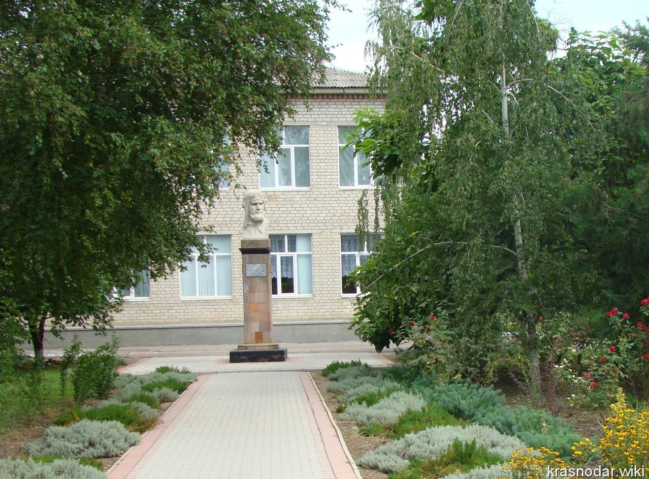 Калининская, Библиотека