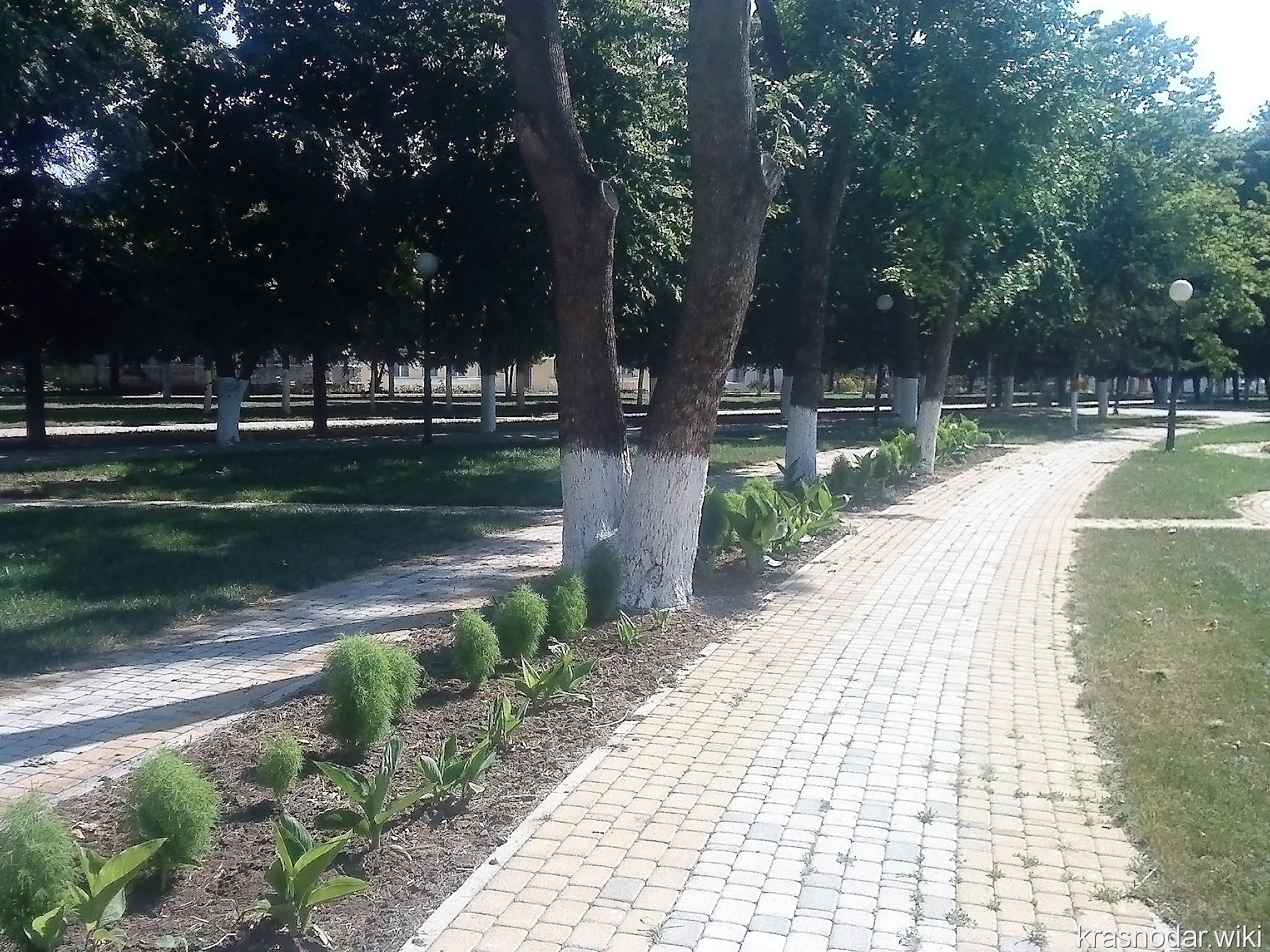 Выселки, Аллея в парке