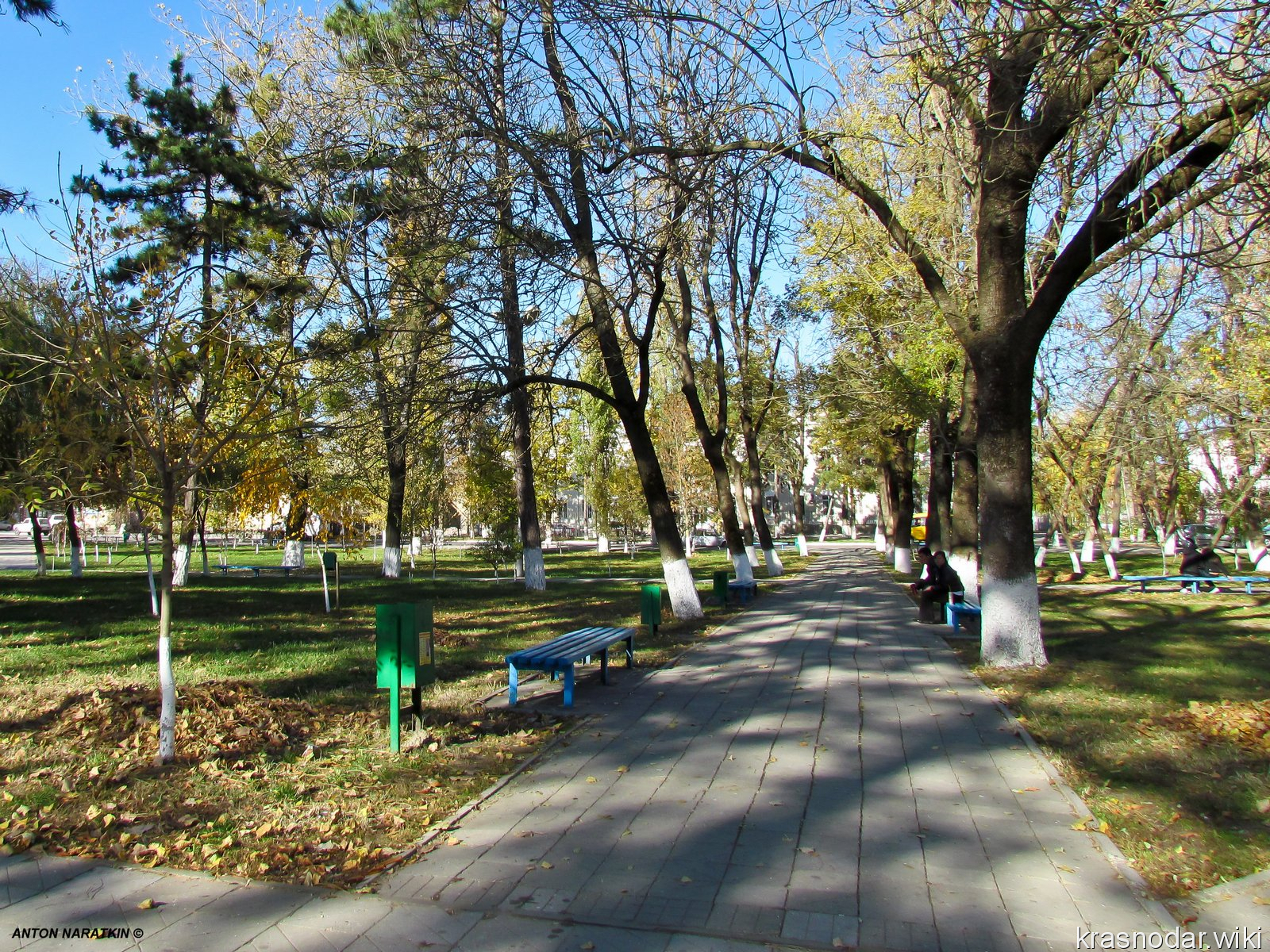 Крымск, Аллея в парке им. Тельмана