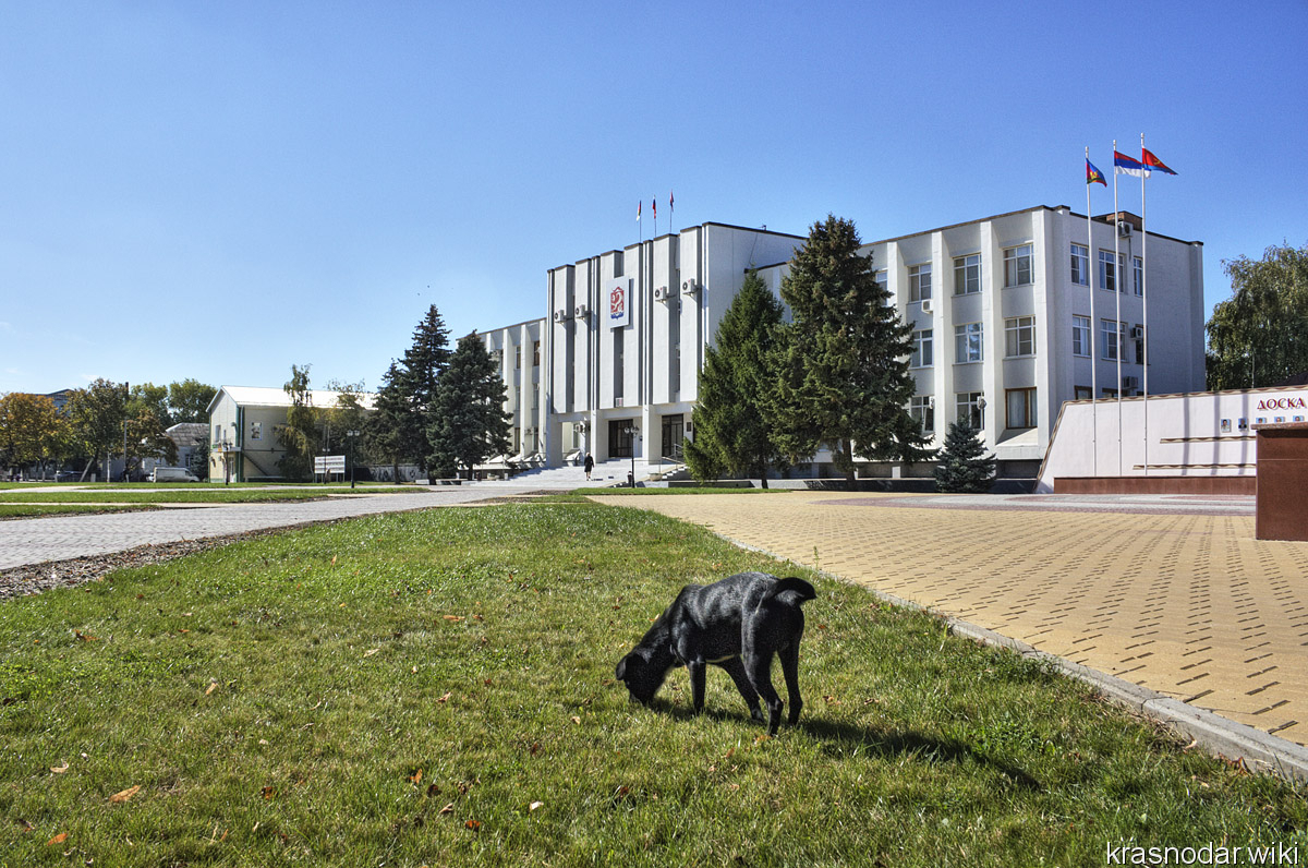 Каневская, администрация
