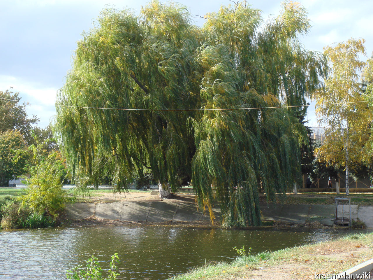 Курганинск, кафе 'Островок'