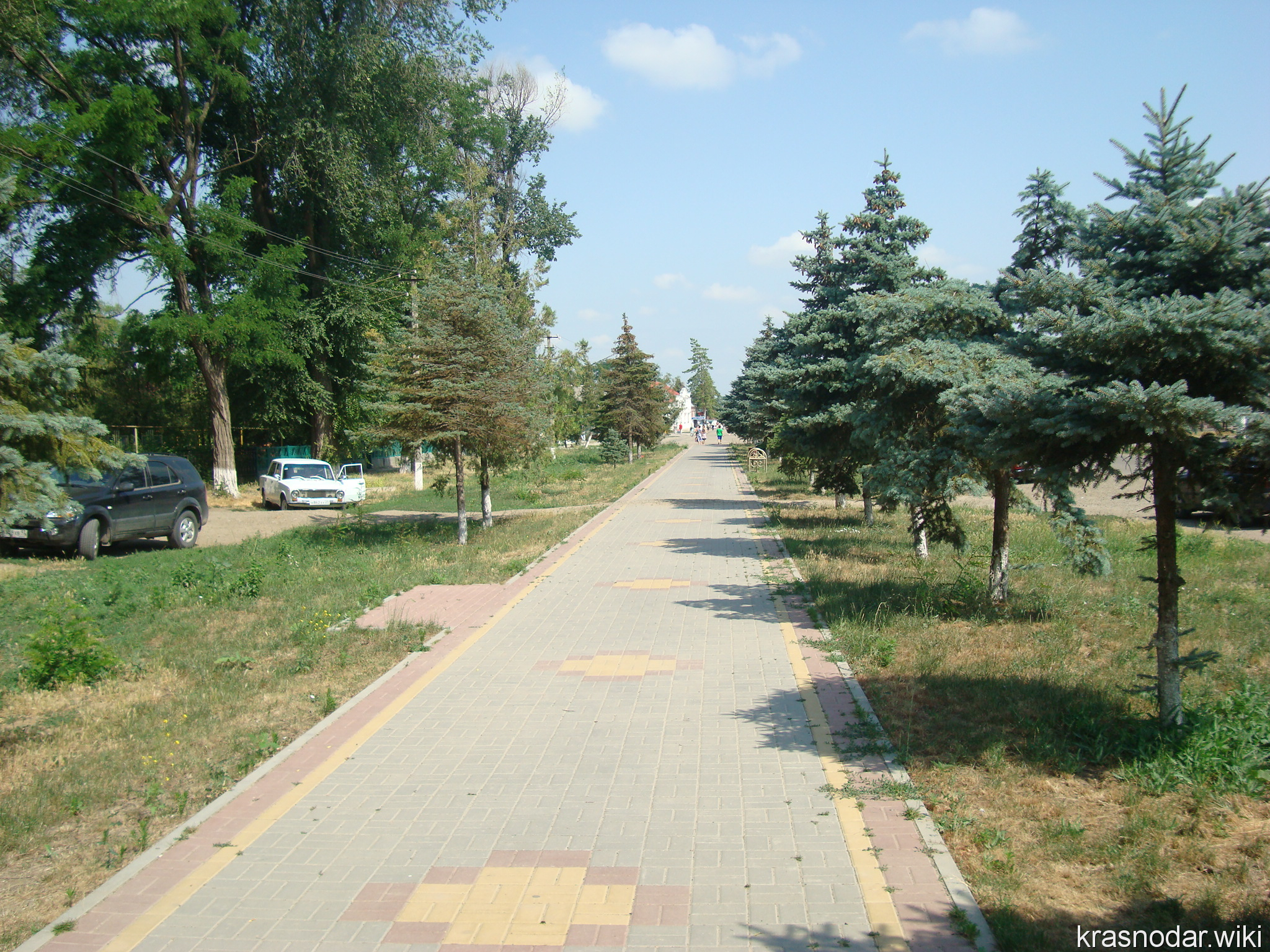 Новопокровская, Аллея