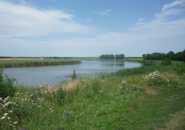 Ленинградская, река Сосыка