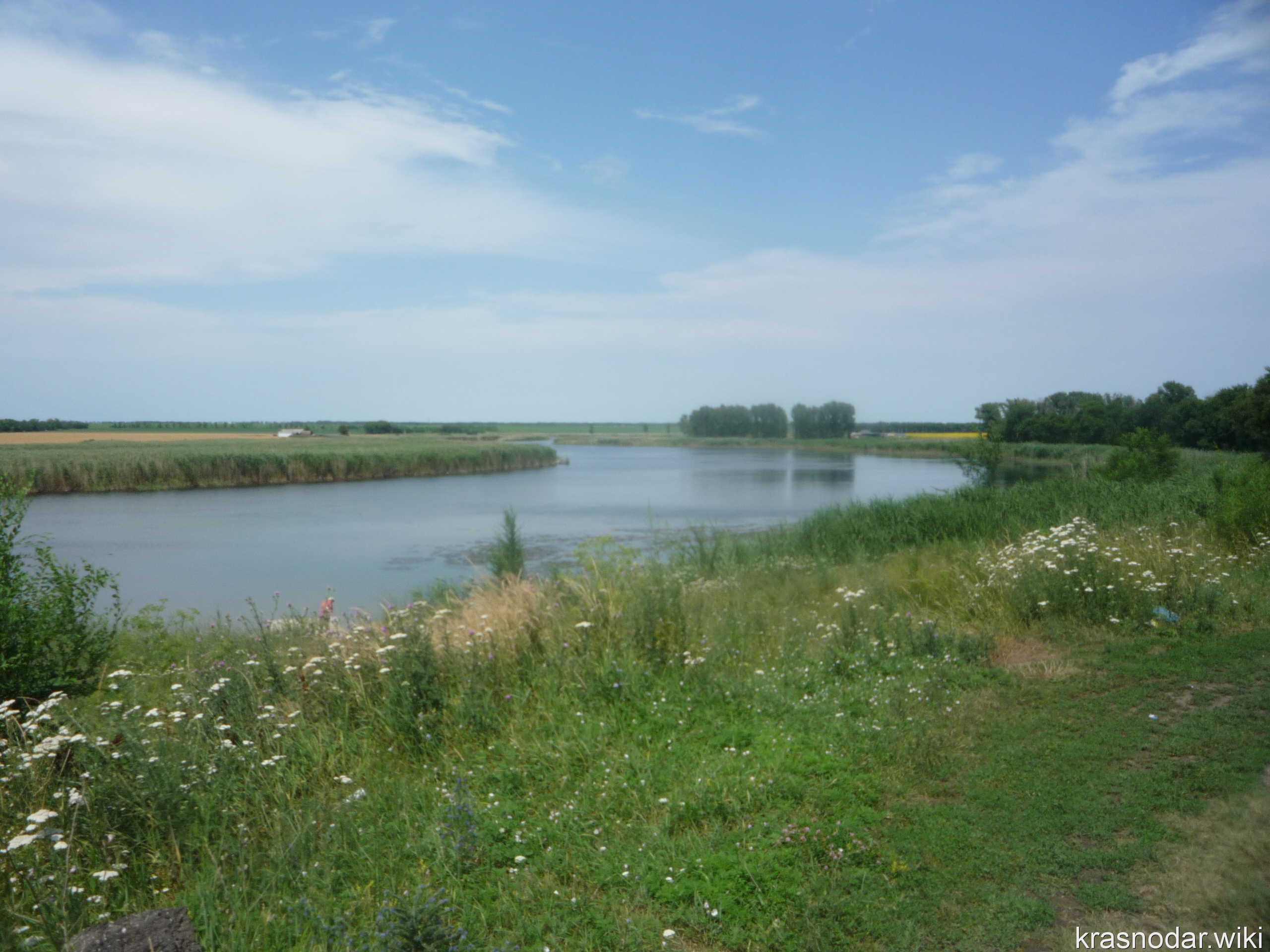 Ленинградская, река Сосыка