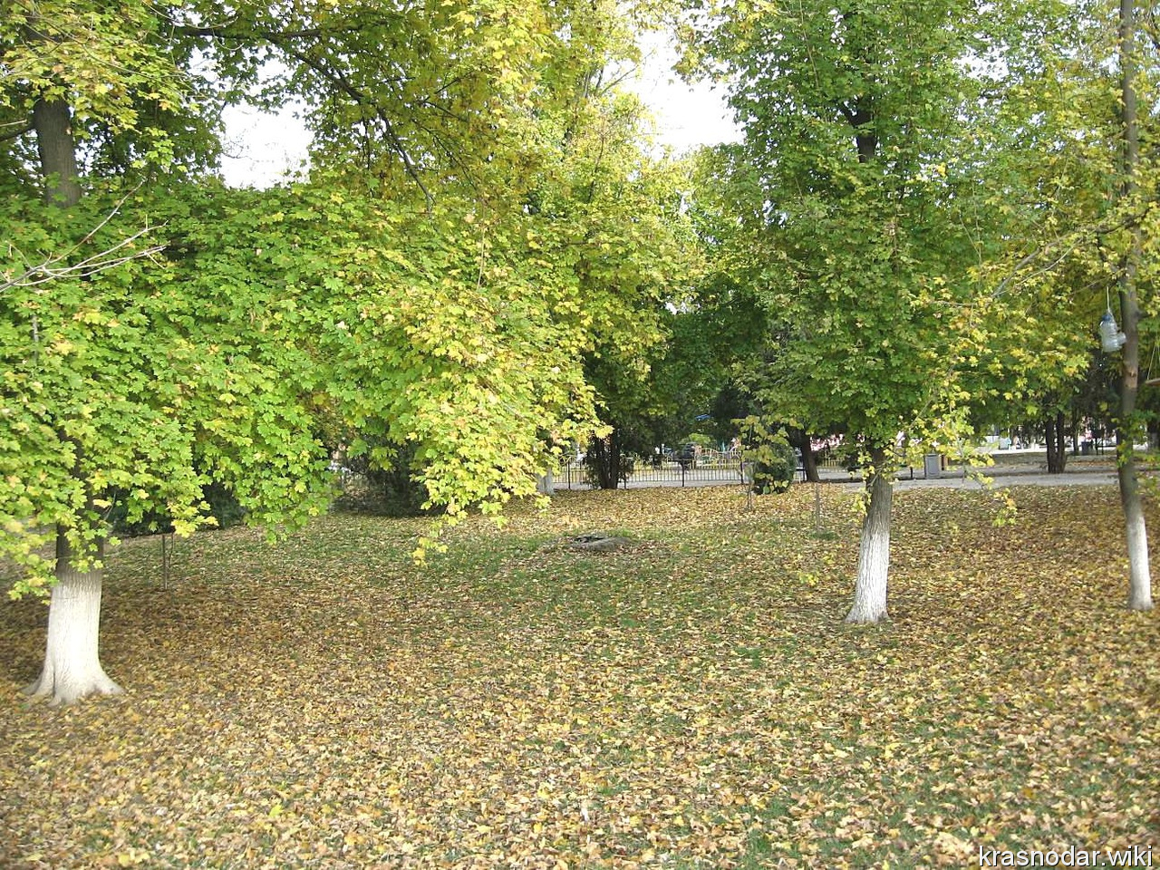 Ленинградская, центральный парк