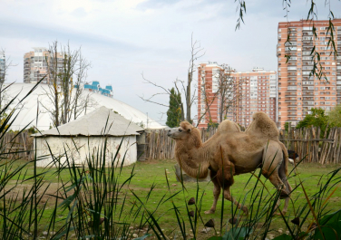 Краснодарский зоопарк «Сафари-парк»