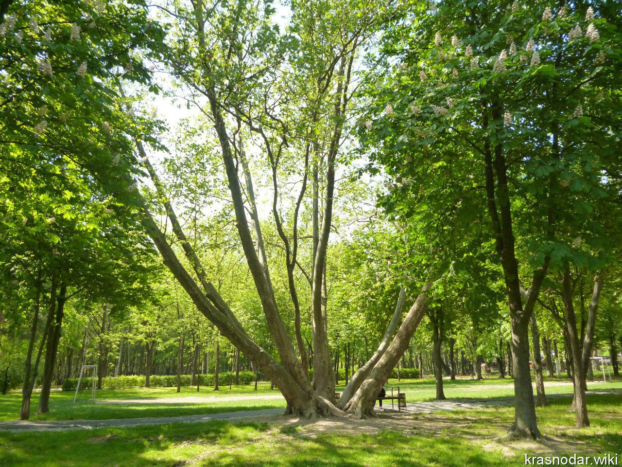 Краснодар, парк Солнечный остров