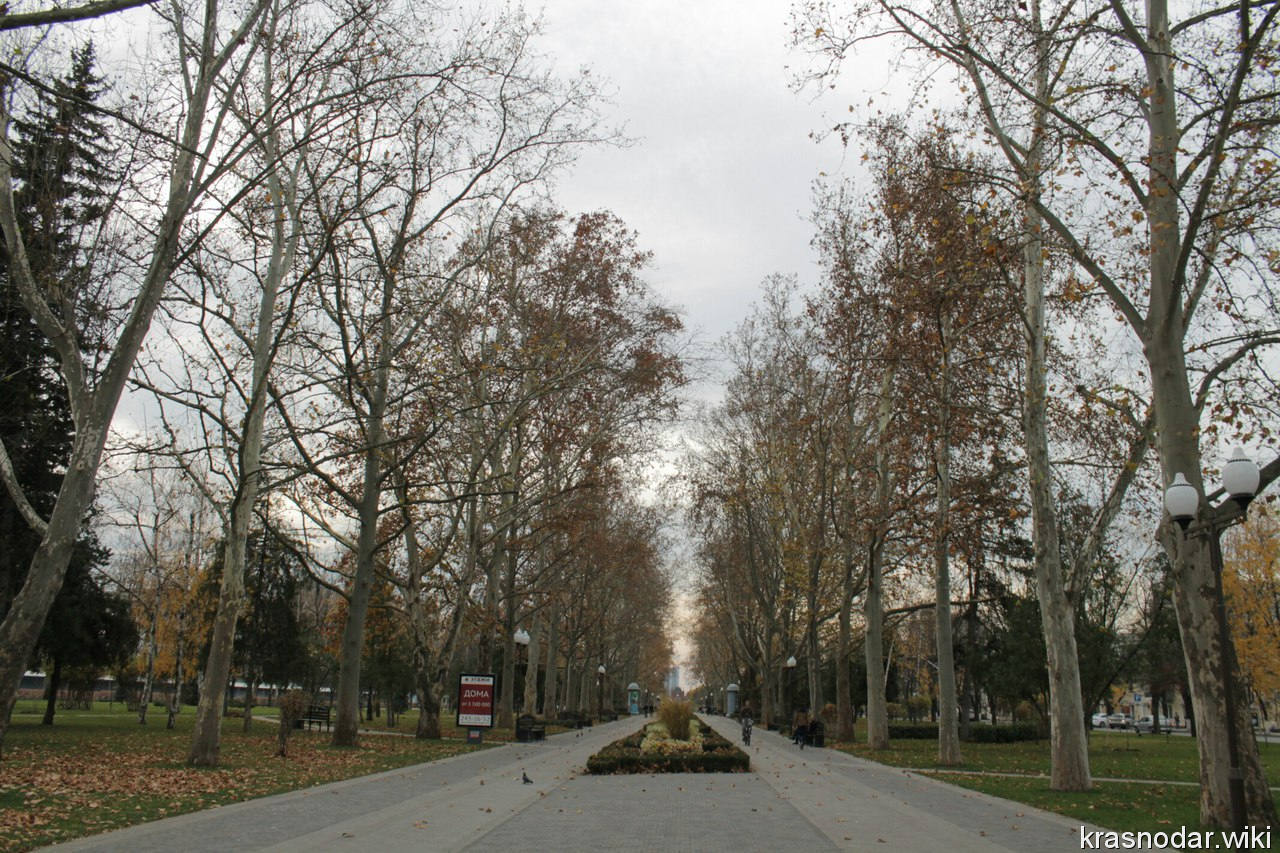 Краснодар, городская аллея